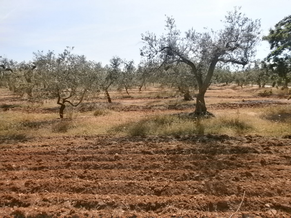 Finca rústica en BOTARELL