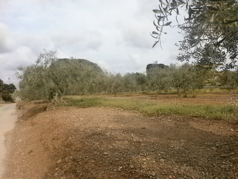 Finca rústica en MONTBRI� DEL CAMP