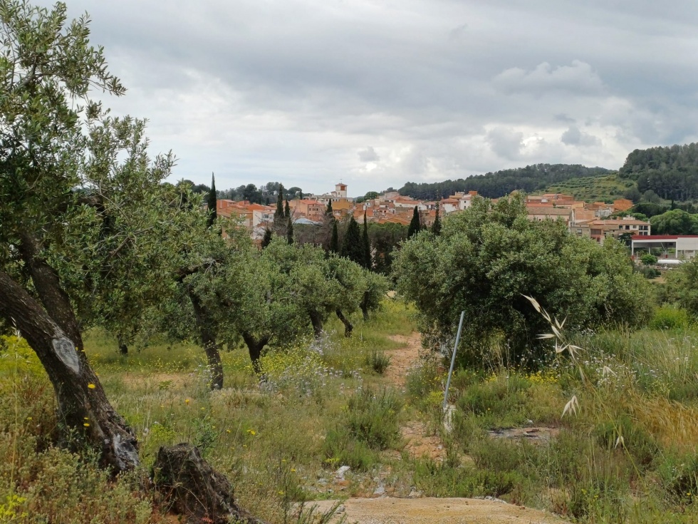 Finca rústica en RIUDECANYES