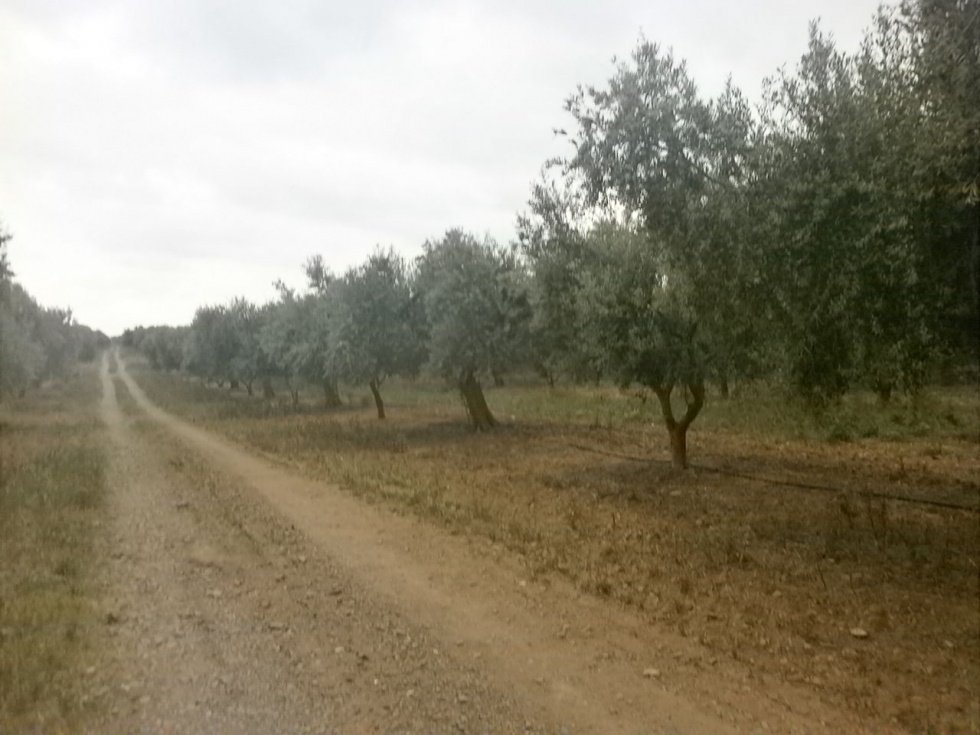 Ático en BOTARELL