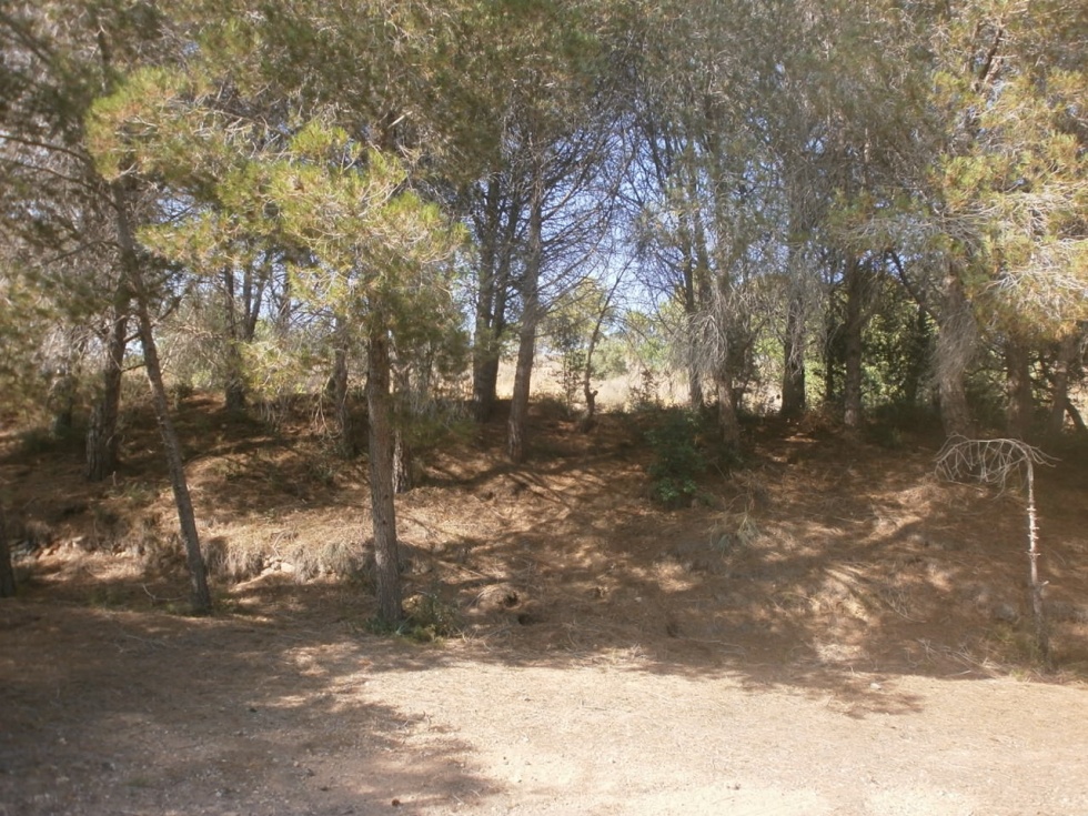 Finca rústica en VILANOVA D'ESCORNALBOU