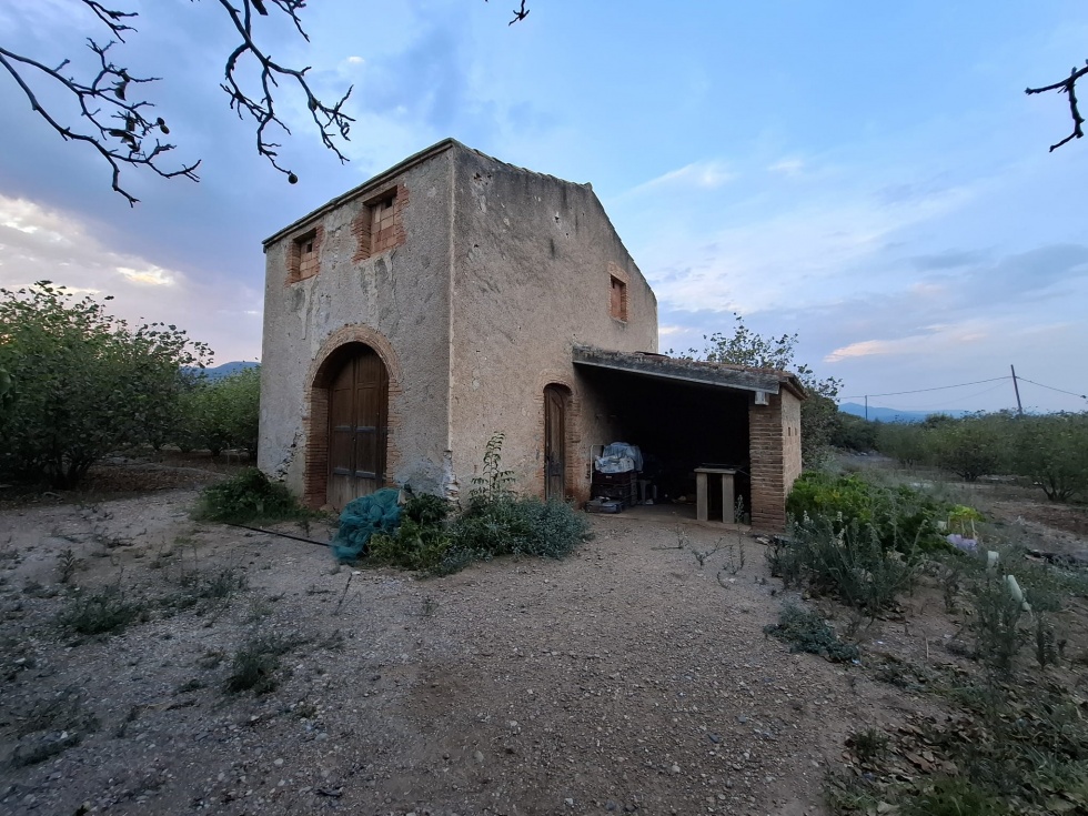 Finca rústica en ALCOVER