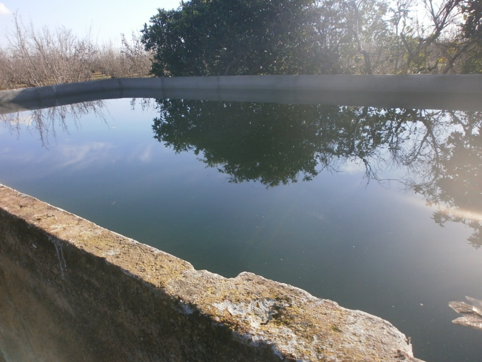 Finca rústica en REUS