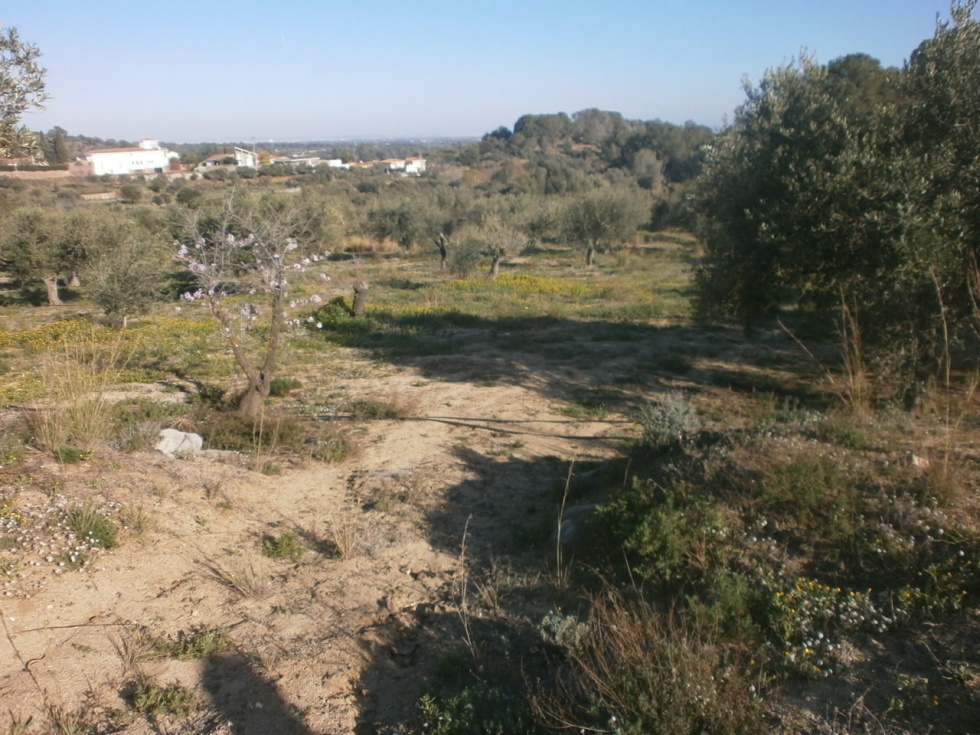 Ático en RIUDECANYES