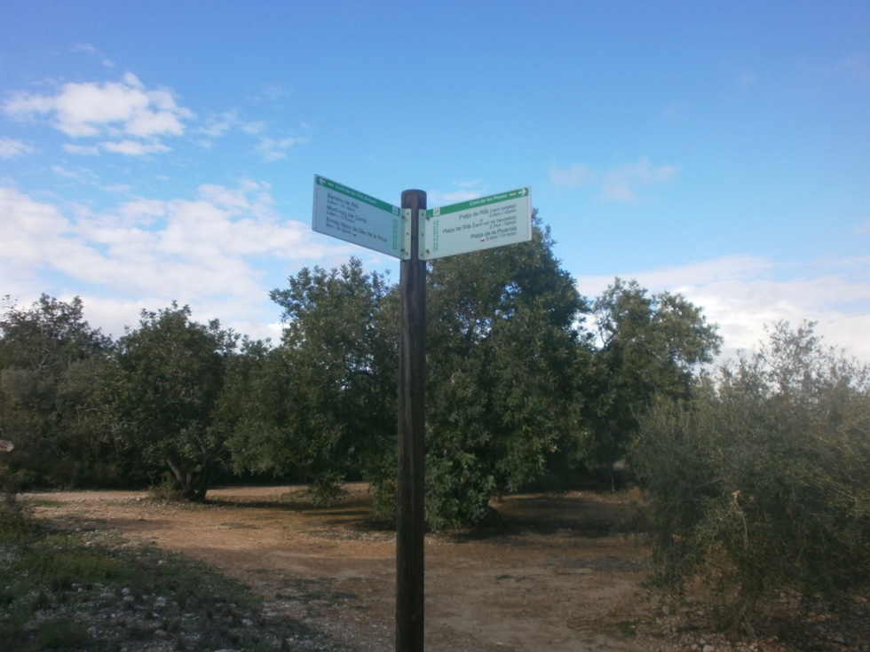 Finca rústica en MONT-ROIG