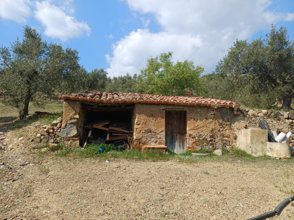 Finca rústica en RIUDECANYES