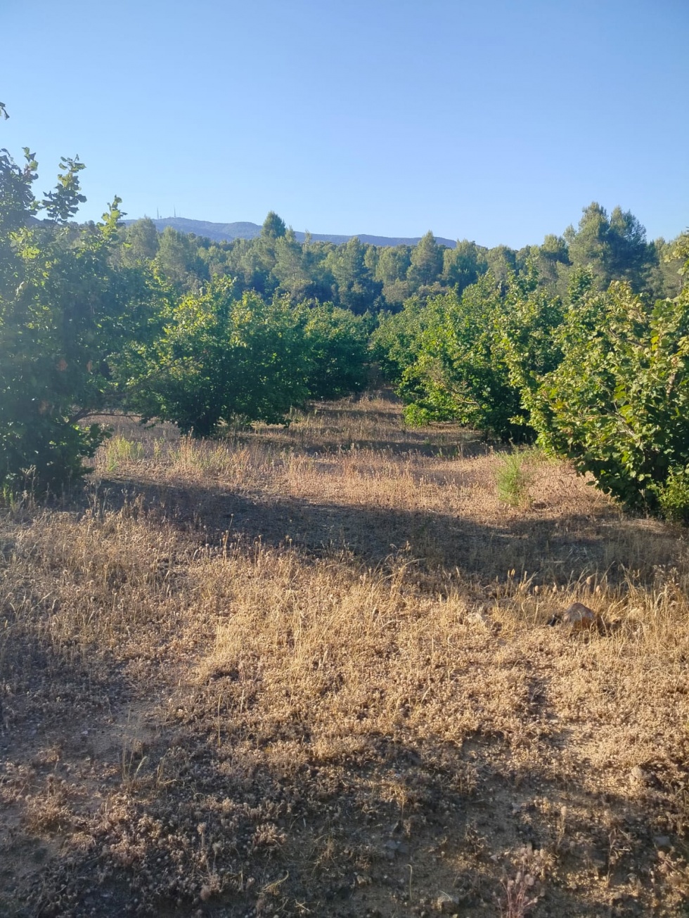 Finca rústica en ALEIXAR