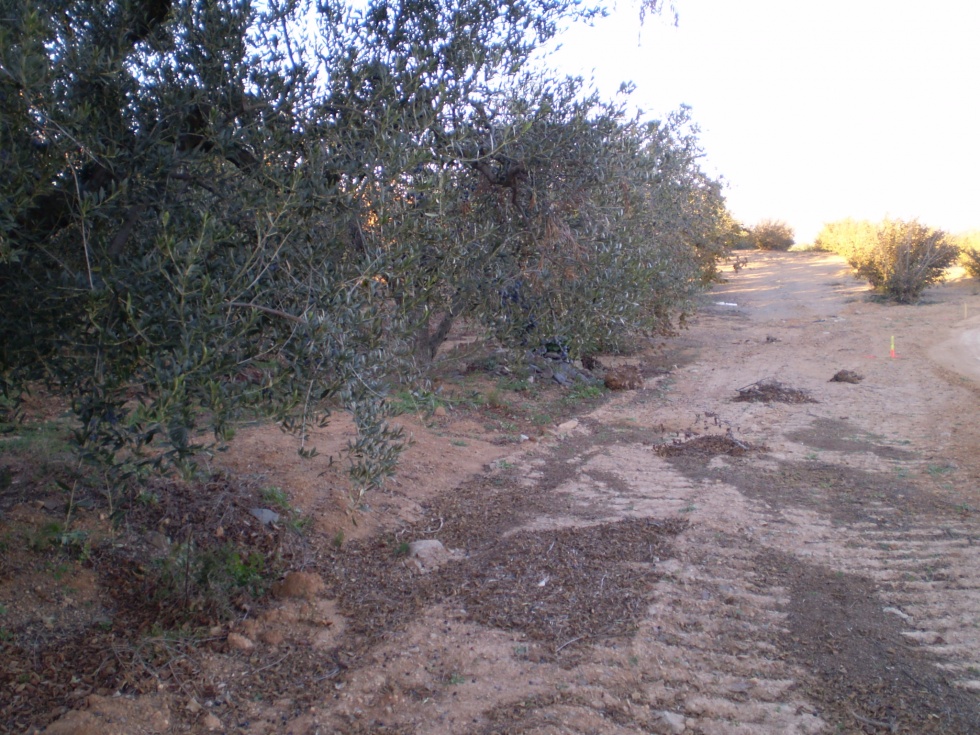 Finca rústica en BOTARELL