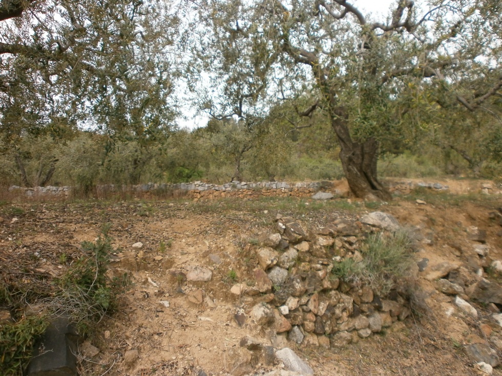 Finca rústica en BOTARELL